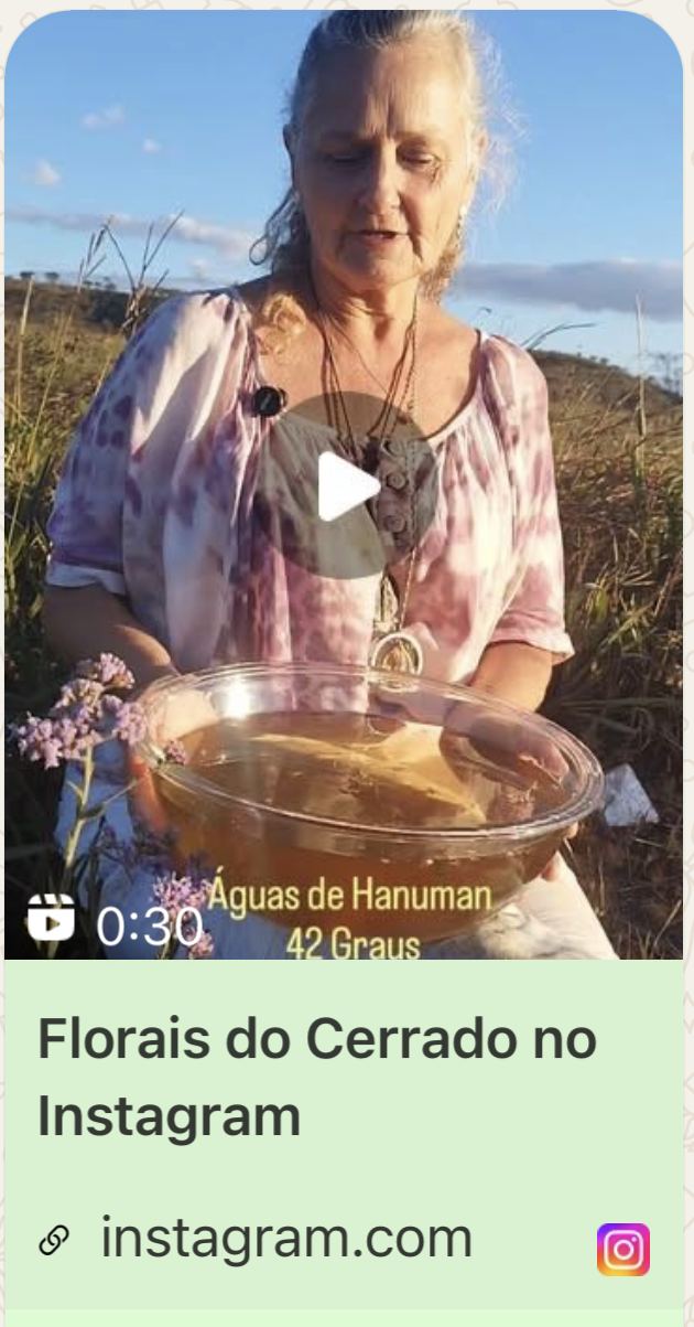Florais do Cerrado